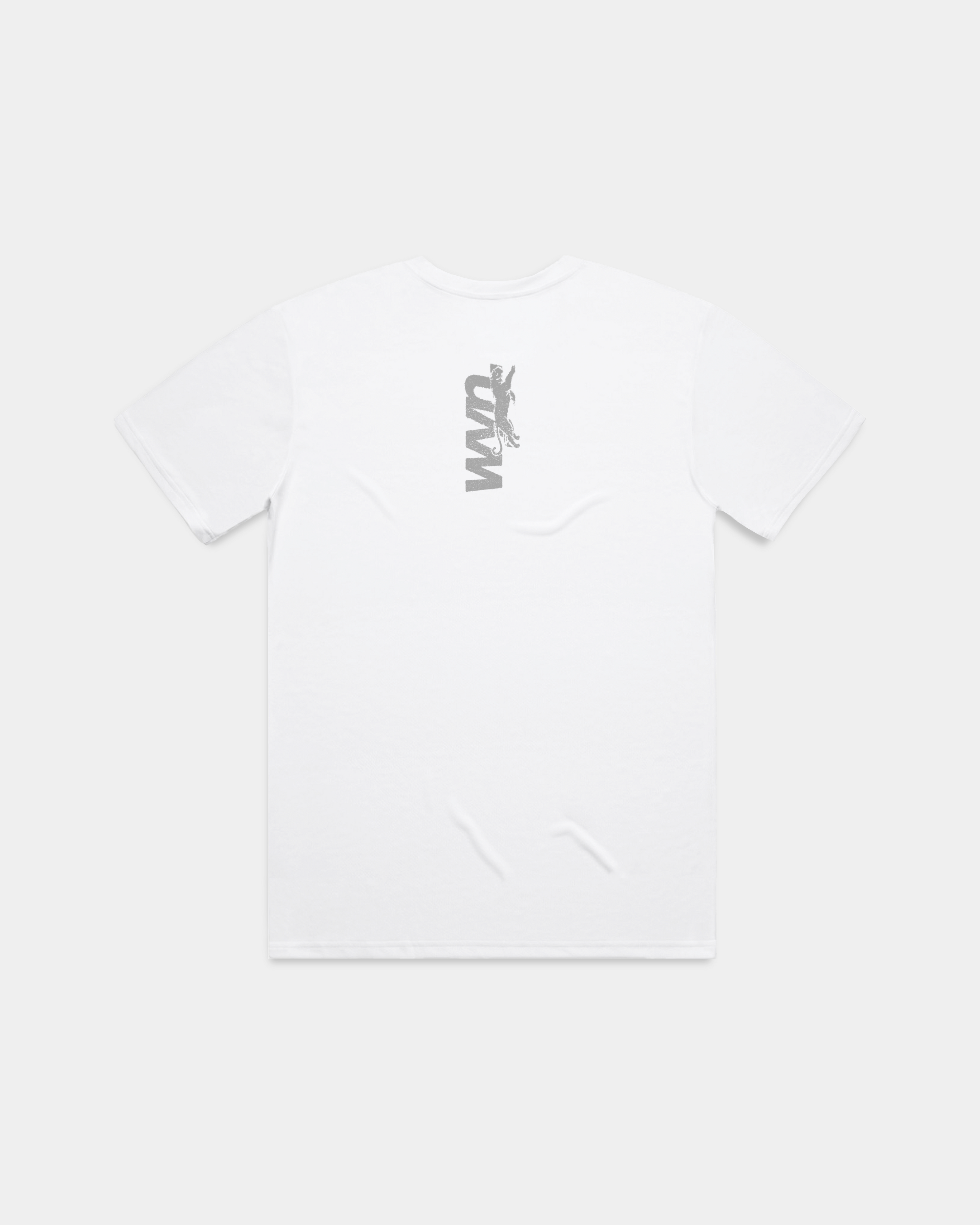 ESSENTIAL TRAINING T-SHIRT